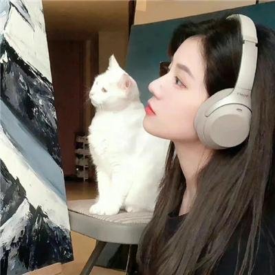 替天行道三人行