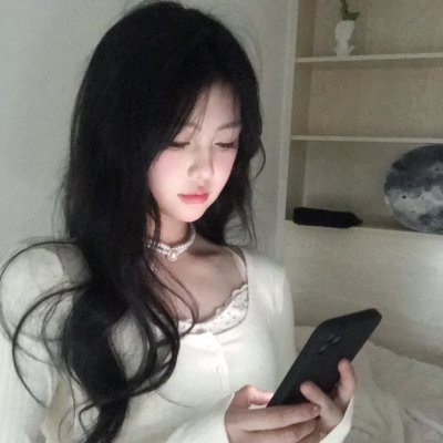 双生警贼