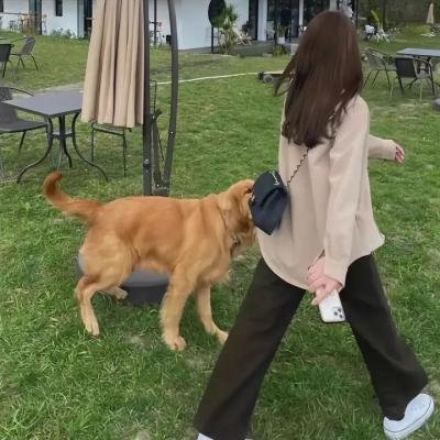 帕特和麦克